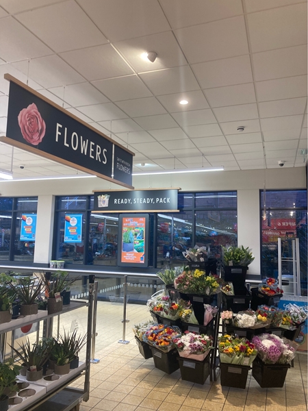 Completed lighting repairs by the flower display at Aldi New Oscott