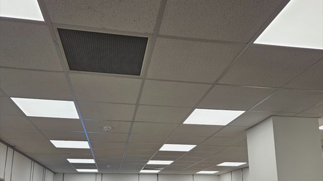 Replacement ceiling lighting in a Shilling Group office